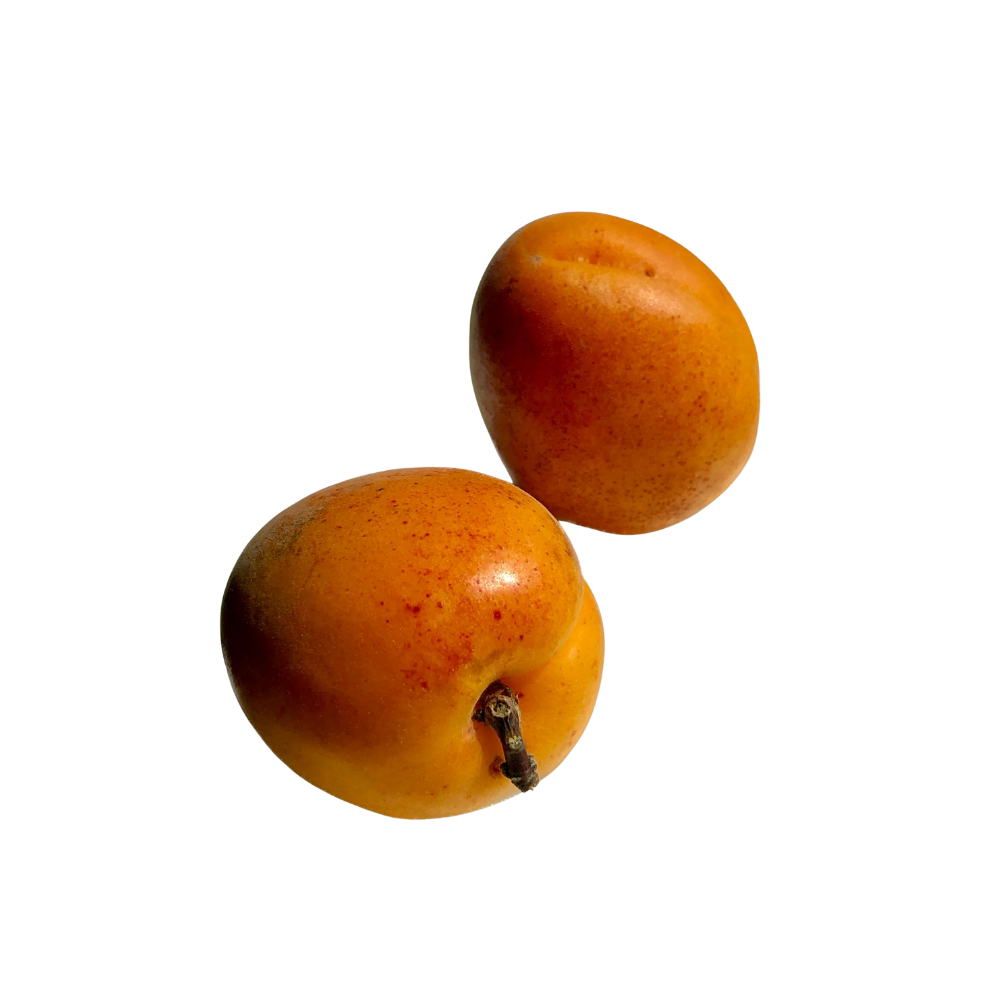 Apricot Lemon Verbena Jam