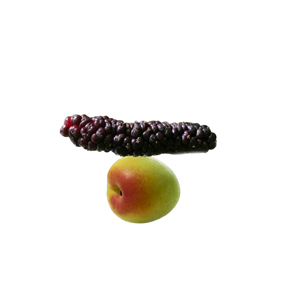 Mulberry Plum Jam