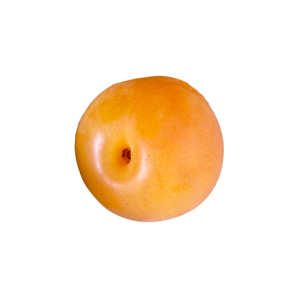 Plumcot Chamomile Jam