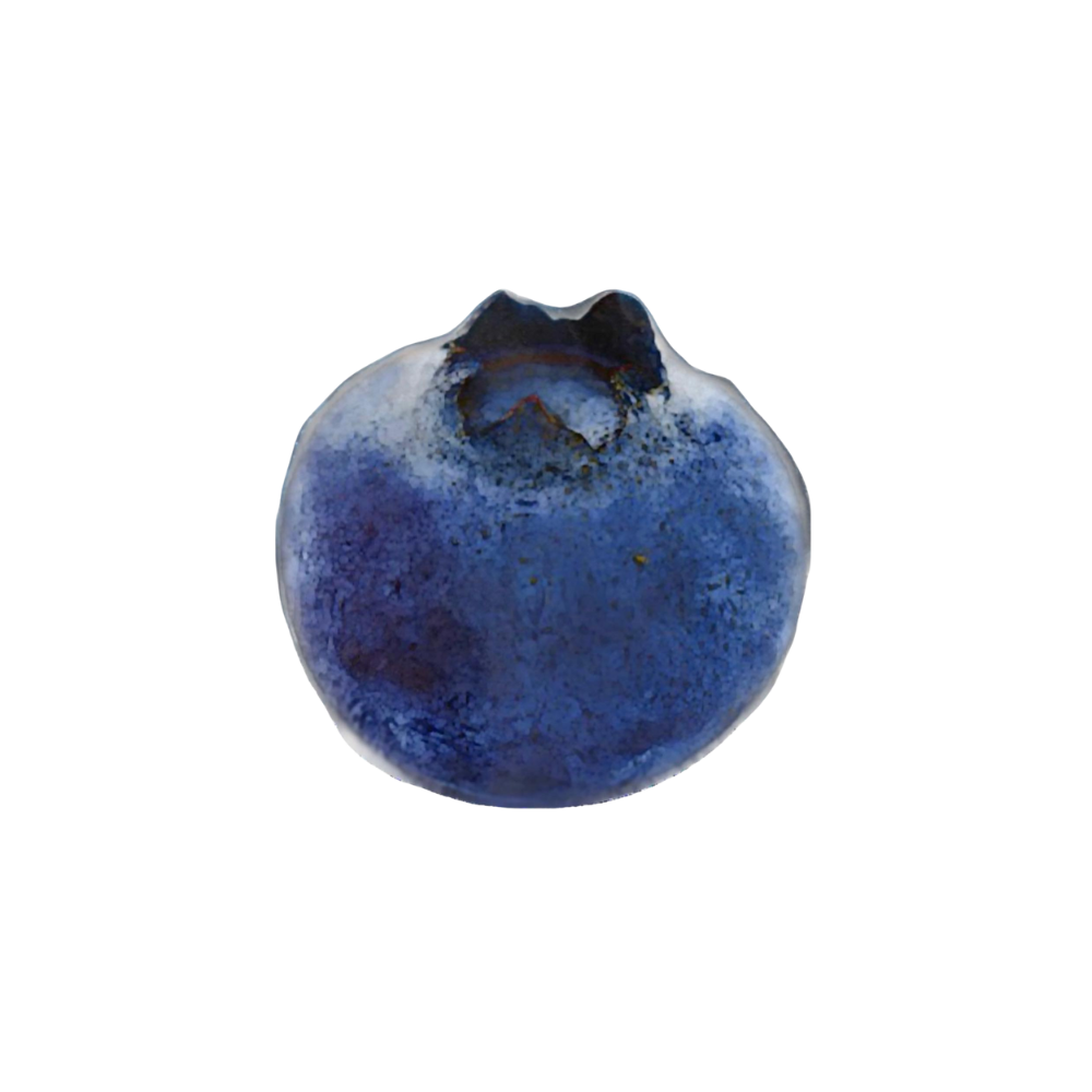 Blueberry Verjus Jam