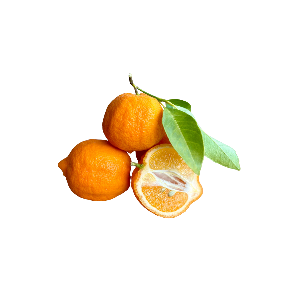 Rangpur Lime Silgochu Marmalade